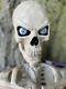 1 Ultra Poseable Skeleton 5 Ft Home Accents Home Depot Halloween