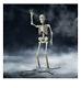10 Ft Halloween Giant Poseable Skeleton Decoration In Bone Color