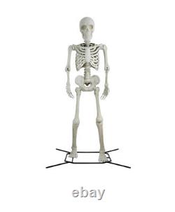 10 Ft Halloween Giant Poseable Skeleton Decoration in Bone Color