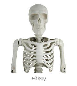 10 Ft Halloween Giant Poseable Skeleton Decoration in Bone Color