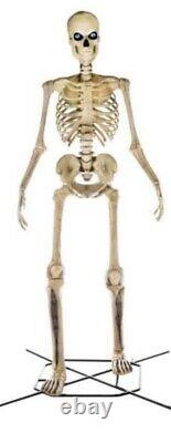 12 FT Foot Giant Skeleton With Animated LCD Eyes Halloween Prop HomeDepot