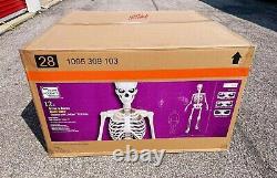 12 FT Foot Giant Skeleton With Animated LCD Eyes Halloween Prop HomeDepot Sold Out
