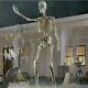 12 Foot Ft Tall Giant Skeleton With Animated Lcd Eyes Halloween Prop (central Nj)