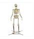 12 Foot Ft Tall Skeleton Home Depot Bones Nib 2022 Model Home Accents Bones