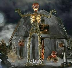 12 Ft Giant Sized Inferno Pumpkin Skeleton With LifeEyes LCD Eye NEW IN BOX