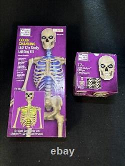 12 Ft Skeleton Skelly LED Home Accents Holiday Lighting Kit / Eye Kit 8 Function