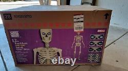 12' Skeleton LifeEyes Halloween Home Depot LCD flames hearts New Apr 2024