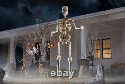 12 ft. Giant-Sized Skeleton with LifeEyes Home Depot New In Box