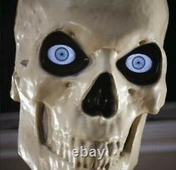 12 ft. Giant-Sized Skeleton with LifeEyes Home Depot New In Box