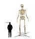 12ft Giant Skeleton Halloween Prop Decoration Life Size Scary Yard/outdoor Spook