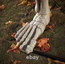 12ft Giant Skeleton Halloween Prop Decoration Life Size Scary Yard/Outdoor Spook