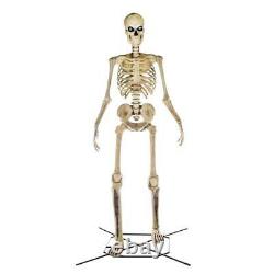 12ft Halloween Prop Decor Life Size Animated Scary Ghostly Skeleton Yard/Outdoor