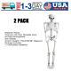 2×5.4ft Halloween Poseable Life Size Skeleton Party Prop Human Anatomy Model Us