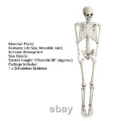 2×5.4FT Halloween Poseable Life Size Skeleton Party Prop Human Anatomy Model US