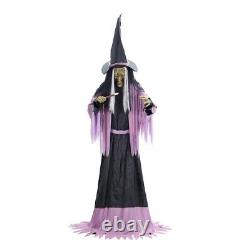 2023 Costo/SVI 10' Towering Animated Witch with Digital Eyes Halloween