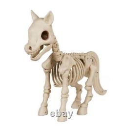 25 HALLOWEEN PONY SKELETON Halloween PROP FARM ANIMALS