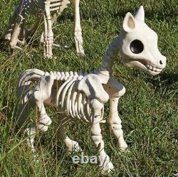 25 HALLOWEEN PONY SKELETON Halloween PROP FARM ANIMALS