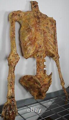 30 Headless Skeleton Torso Halloween Prop Custom