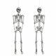 5.4 Ft Full Body Halloween Skeletons Props Decoration With Movable Joints 2 Pack