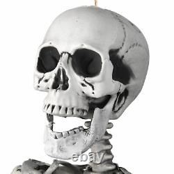 5.4 FT Full Body Halloween Skeletons Props Decoration with Movable Joints 2 Pack