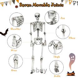 5.4Ft Halloween Skeleton Life Size Realistic Full Body Hanging With Movable Joints