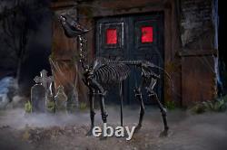 5.5 FT LED Skeleton Pony Halloween Home Depot Horse Home Accents Prop IN-HAND