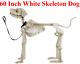 5' Foot Skelly Skeleton Dog Halloween Prop Indoor/outdoor Decor