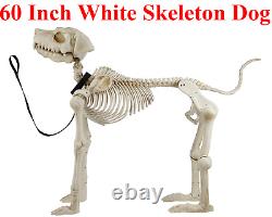 5' FOOT Skelly Skeleton Dog Halloween Prop Indoor/Outdoor Decor