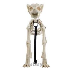 5' FOOT Skelly Skeleton Dog Halloween Prop Indoor/Outdoor Decor