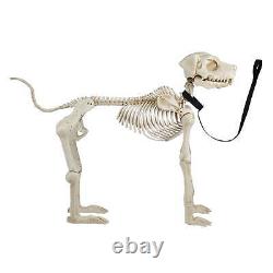 5' FOOT Skelly Skeleton Dog Halloween Prop Indoor/Outdoor Decor