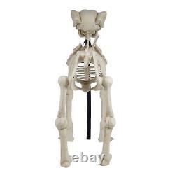 5' FOOT Skelly Skeleton Dog Halloween Prop Indoor/Outdoor Decor