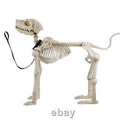 5' FOOT Skelly Skeleton Dog Halloween Prop Indoor/Outdoor Decor