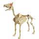 52 H Spooky Skeleton Pony Horse With Led Eyes Sounds Halloween Holiday Decor