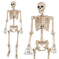 5ft Adult Halloween Poseable Jointed Life Size Human Skeleton Decoration Prop
