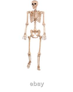 5ft Life Size Jointed Skeleton Halloween Party Haunted House Decoration Props
