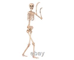 5ft Life Size Jointed Skeleton Halloween Party Haunted House Decoration Props