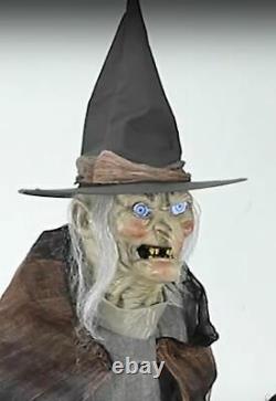 6' ANIMATED LUNGING WITCH Halloween Prop DIGITAL EYES PRESALE