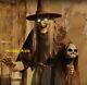6 Ft Animated Lunging Haggard Witch Halloween Prop
