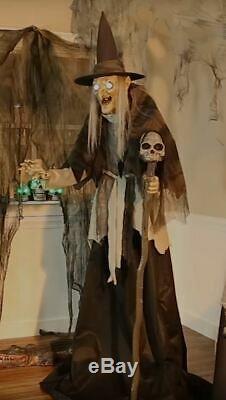 6 FT ANIMATED LUNGING HAGGARD WITCH Halloween Prop