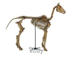 6 ft Life Size Standing Skeleton Horse Halloween Prop Home Depot? Home Accents
