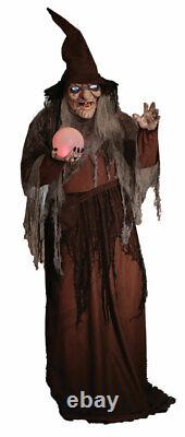 68 ANIMATED SOOTHSAYER WITCH Halloween Prop DIGITAL EYES PRESALE