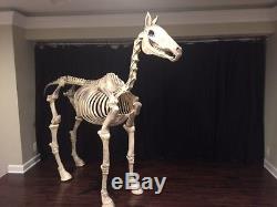 74 Halloween Skeleton Horse