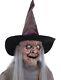 Animated Crone Witch With Servo Motor Halloween Prop Presale