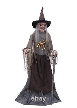 ANIMATED CRONE WITCH WITH SERVO MOTOR Halloween Prop PRESALE
