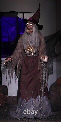 ANIMATED CRONE WITCH WITH SERVO MOTOR Halloween Prop PRESALE