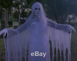 ANIMATED RISING GHOST WOMAN Halloween Prop HAUNTED HOUSE LADY OF THE GRAVE
