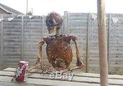 ARTIST MADE Life Size Rotting Skeleton Corpse Scary Halloween Prop Decoration