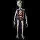 Alien Autopsy Prop Halloween Greys Ufo Roswell Area 51 Et Dead Haunted House Avp