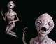 Alien Death Prop Ufo Area 51 Roswell Life Size Dead Haunted House Halloween Et