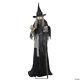 Animated Lunging Haggard Witch Spooky Halloween Prop With Creepy Motion